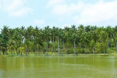 ������̬ũҵȫ����ռ